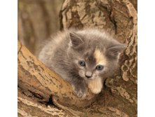 _DSC0637мин.jpg