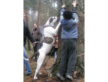 IMG_0737л.jpg