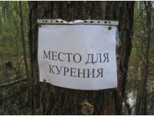 IMG_0043.JPG