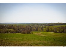 _DSC3833.jpg