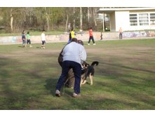 IMG_4329_thumb.jpg