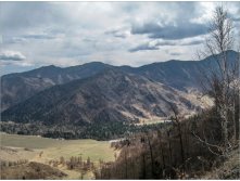 altay-2011-05-01_10.10.43.jpg