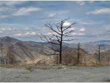 altay-2011-05-01_10.17.34.jpg