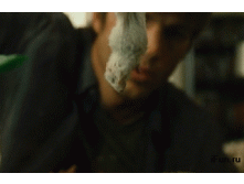 жаба.gif