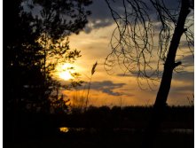 IMG_5761.jpg
