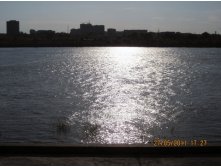 IMG_4592.JPG