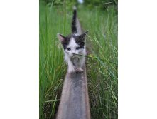 03.06.2011 17:37:49