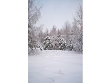 DSC_0266 сайт.jpg