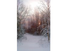 DSC_0310 сайт.jpg