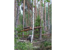 DSCF7513.JPG