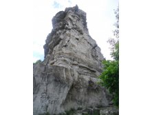 CIMG0881.JPG