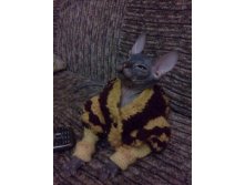 11042011161.jpg