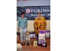 1284650.IMG_5527.jpg