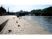 IMG_0517.JPG