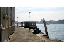 IMG_1783.jpg