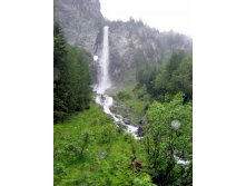 IMG_1895.jpg