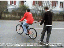 Велик и скейт.gif