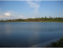 IMG_1695.JPG