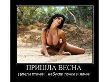 1299079905_prishla-vesna.jpg