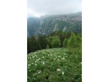 IMG_1810.jpg