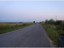 DSC02459.JPG