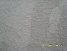 SL273571.JPG