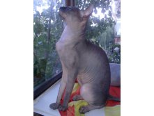 29072011251.jpg
