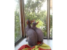 29072011255.jpg