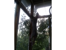 29072011262.jpg