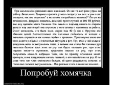 y_906b84c9.jpg
