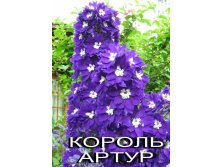король.jpg