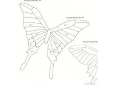 2945489.93291.jpg