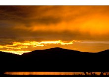 _DSC7798.jpg