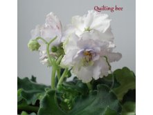 quilting bee