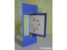 Первоцветы