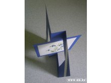 Первоцветы вид сверху