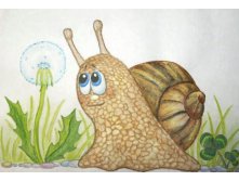 snail.jpg