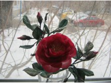 IMG_0926.JPG