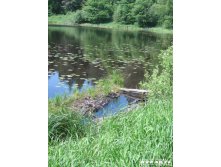 15.06.2008 23:00:08