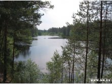 Большая кривовка