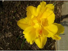20120508_120018.jpg