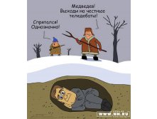 медвед
