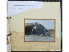 Именно там, на южном ласковом море, он впервые увидел Алые паруса