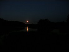 03.07.2010 13:59:22