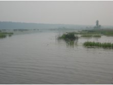 07.07.2010 7:56:39