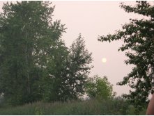 07.07.2010 7:58:10