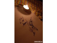 07.08.2008 16:17:10