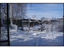 pit-zima-18.jpg