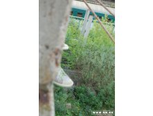 25.08.2008 15:39:48