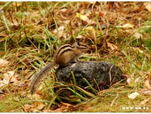 DSC_6776_ (2)